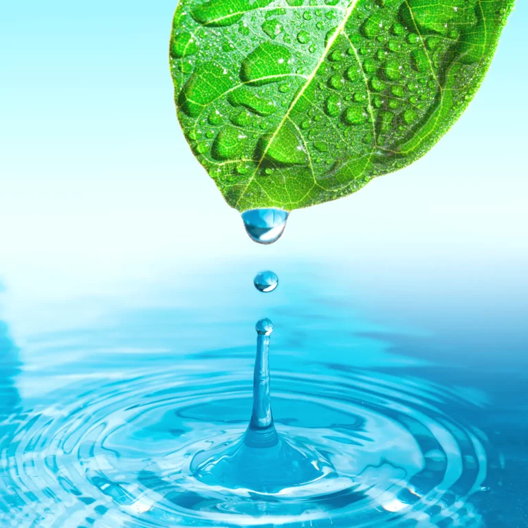 Die grüne Textilpflege